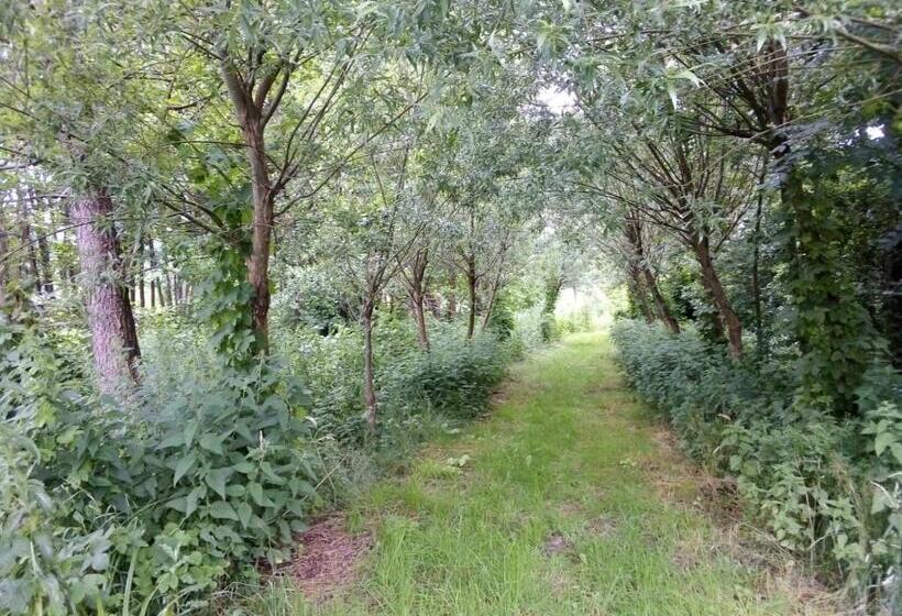 פנסיון Willa Brodnica