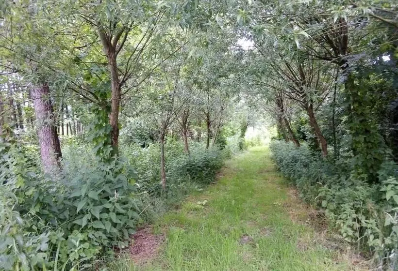 Majatalo Willa Brodnica