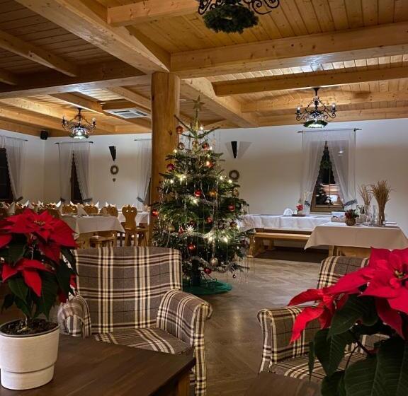 بنسيون Willa Na Borku