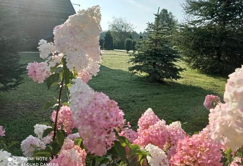 منتجع Ośrodek Wczasowy Wczasy Pod Gruszą