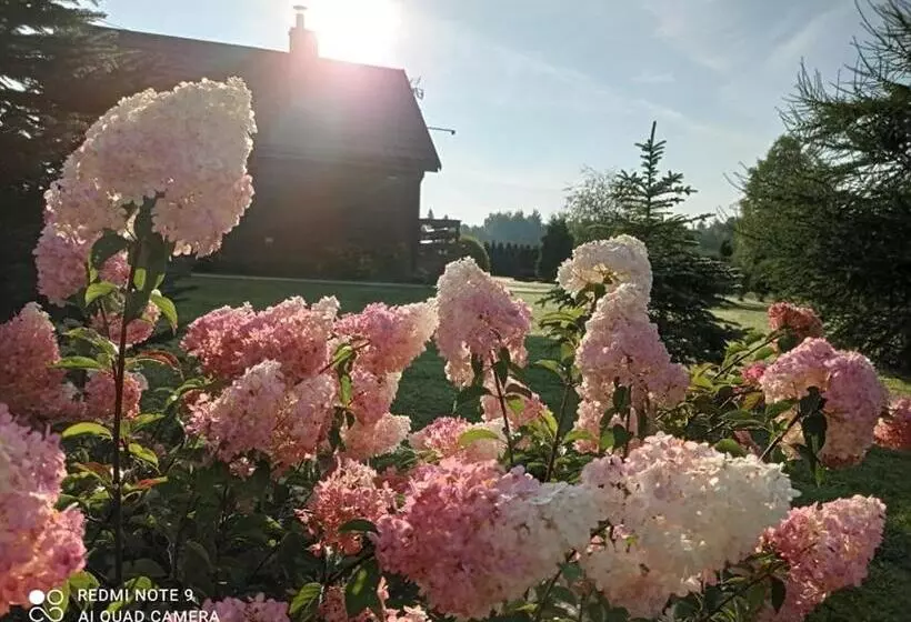 Lomakeskus Ośrodek Wczasowy Wczasy Pod Gruszą