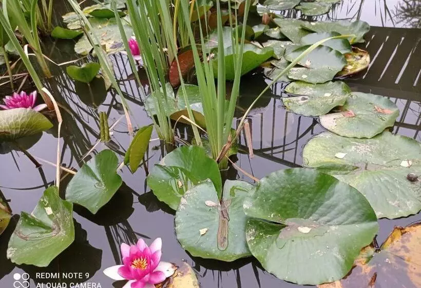Lomakeskus Ośrodek Wczasowy Wczasy Pod Gruszą