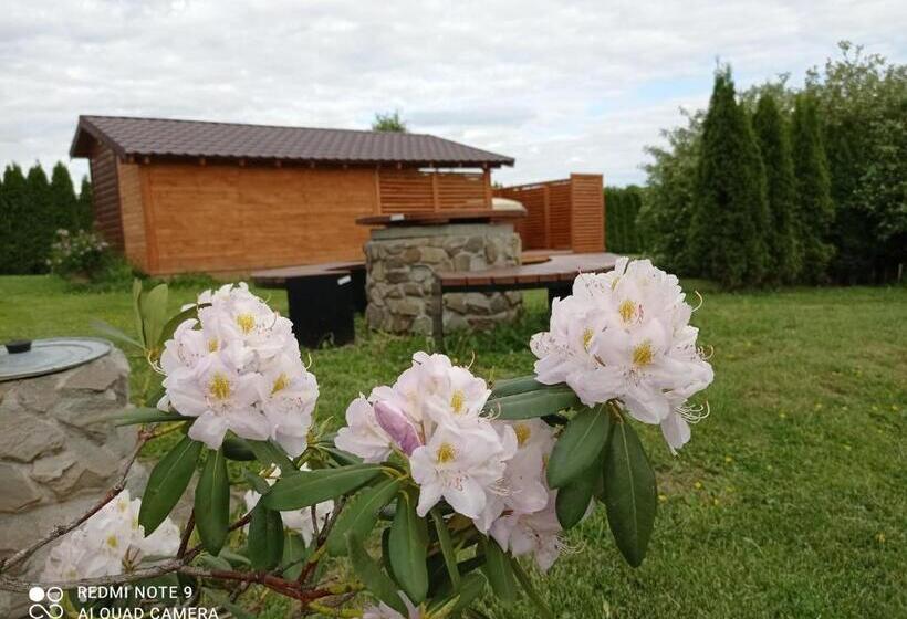 منتجع Ośrodek Wczasowy Wczasy Pod Gruszą