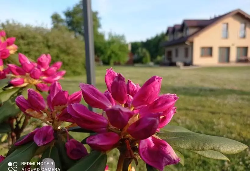 Lomakeskus Ośrodek Wczasowy Wczasy Pod Gruszą