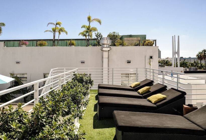 فندق صغير Posh South Beach