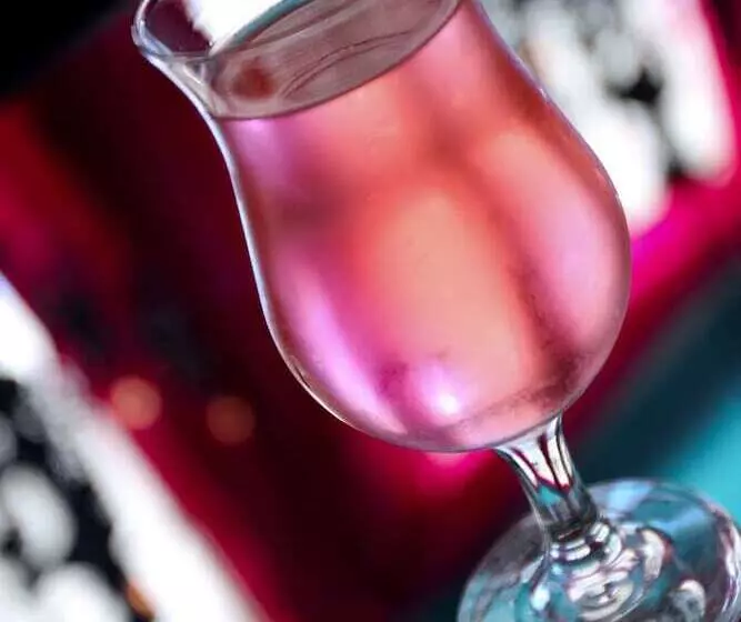 Szálló Posh South Beach