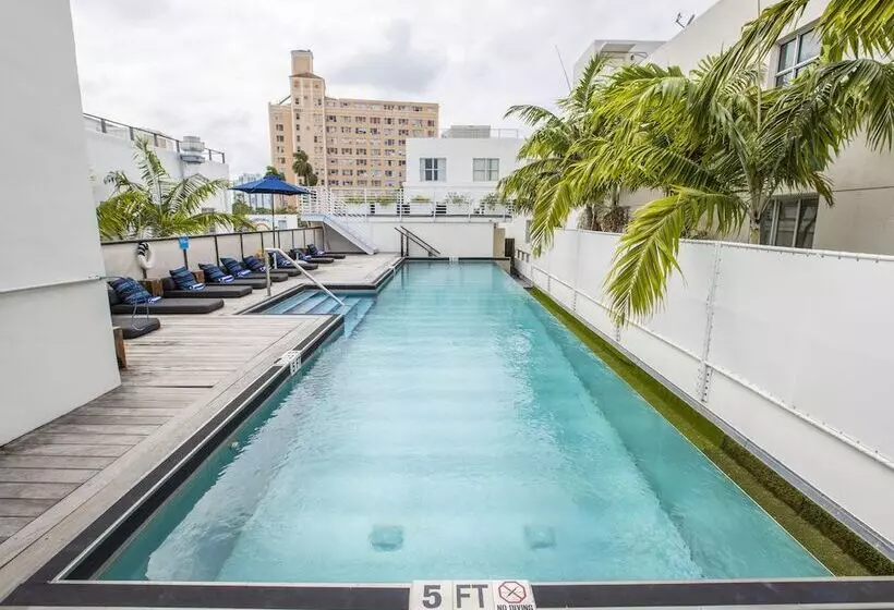 Szálló Posh South Beach