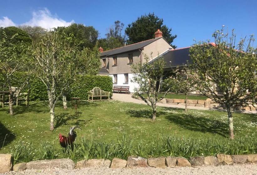 Bed and Breakfast Bostrase