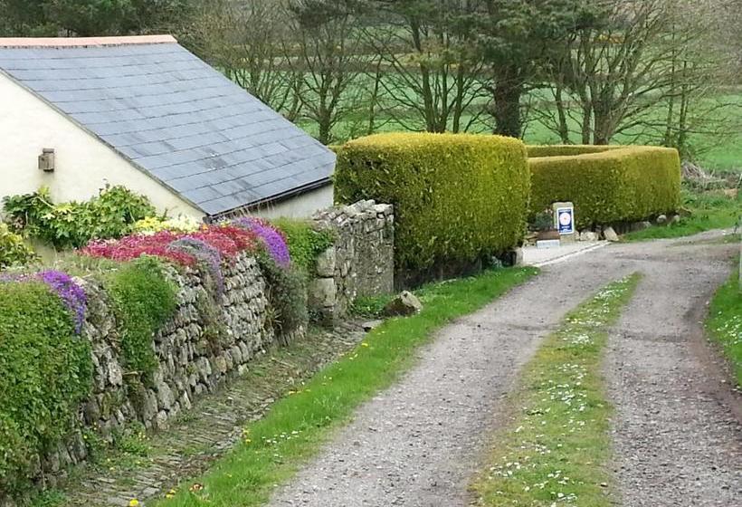 Bed and Breakfast Bostrase