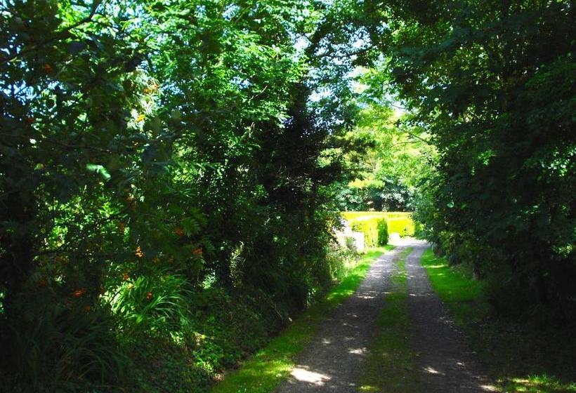 Bed and Breakfast Bostrase