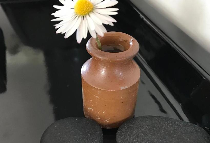 Bed and Breakfast Bostrase