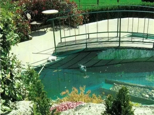 Bed and Breakfast Ivy Cottage Bed&Breakfast