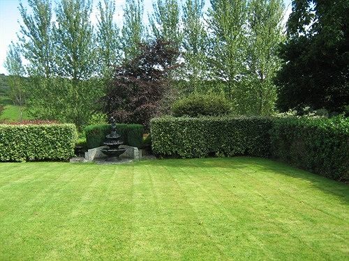 Bed and Breakfast Ivy Cottage Bed&Breakfast