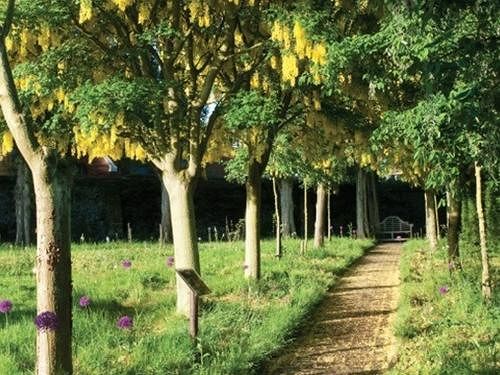 مبيت وإفطار The Salutation