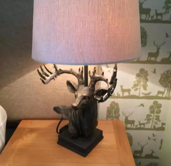 Отель Auldgirth Inn