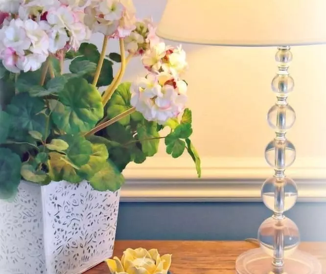 בית מלון כפרי Camelot Restaurant & Inn