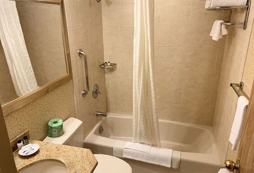 בית מלון כפרי Five Towns Inn   Jfk Airport