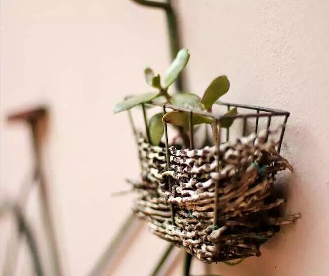 هتل Mantenga Lodge