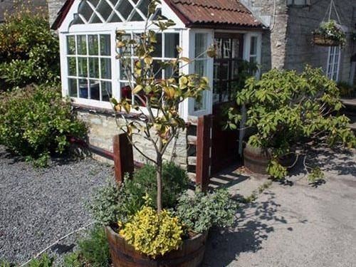 酒店 The Lion At Pennard