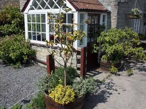 Hôtel The Lion At Pennard