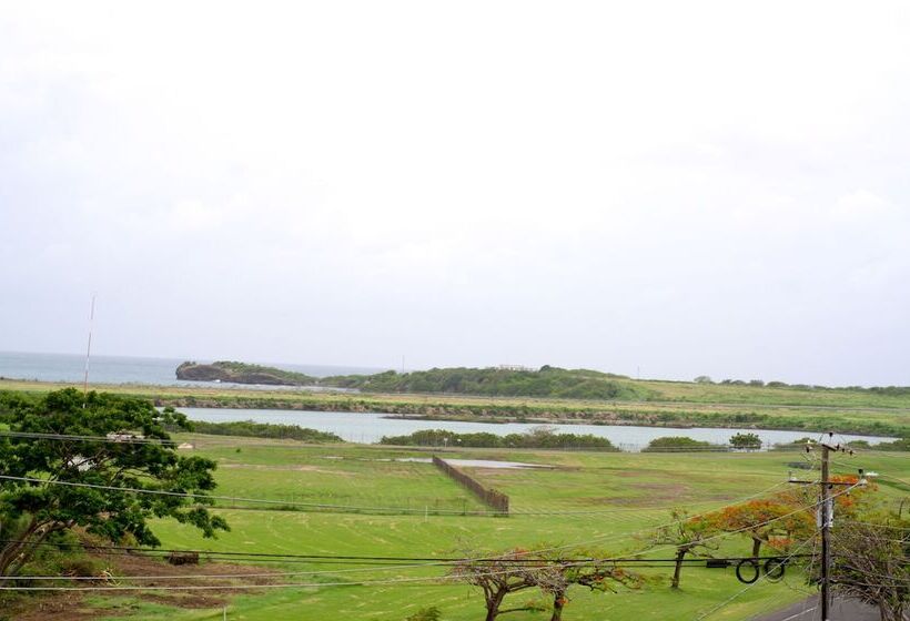 La Heliconia & Day Spa