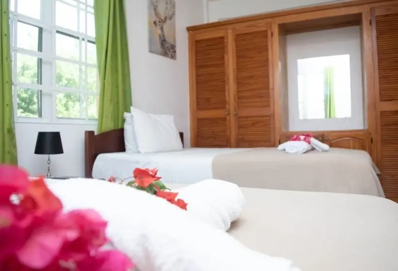 La Heliconia & Day Spa