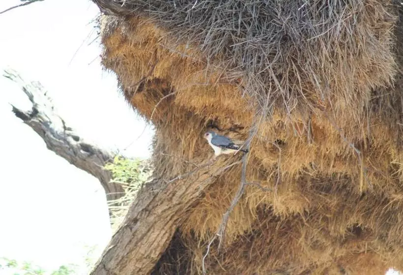 Pension Etango Ranch Guest Farm