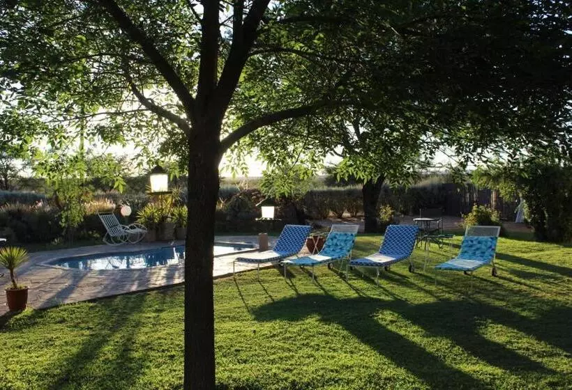 Pension Etango Ranch Guest Farm