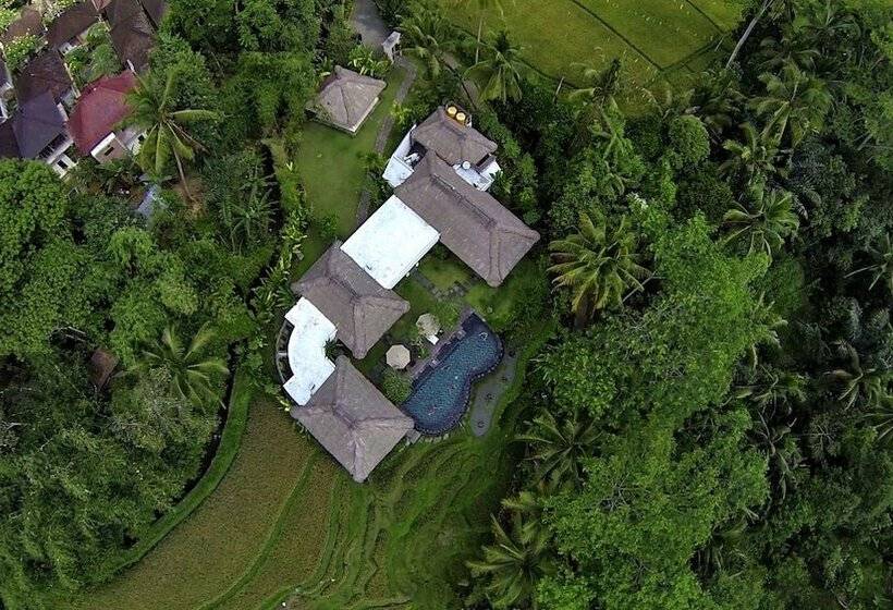 بنسيون Villa Amrita