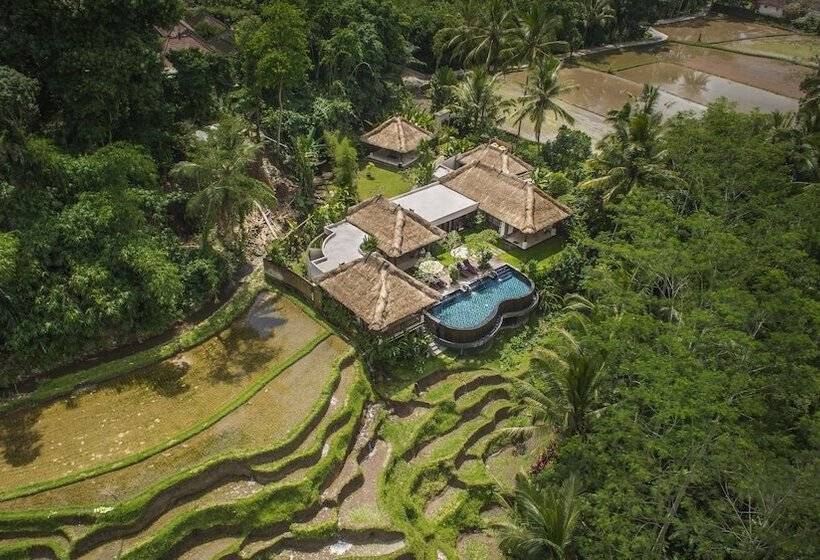 بنسيون Villa Amrita