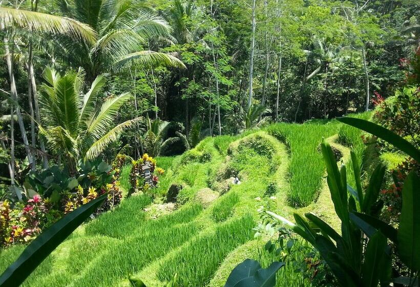 بنسيون Villa Amrita