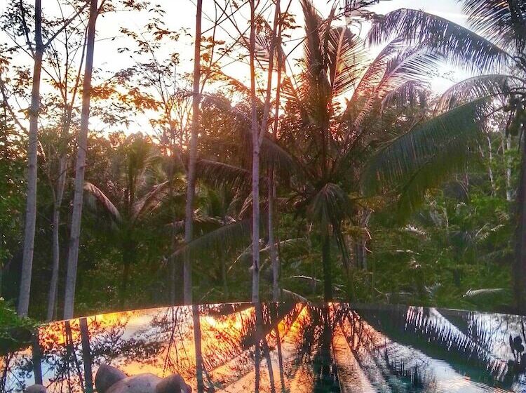 بنسيون Villa Amrita