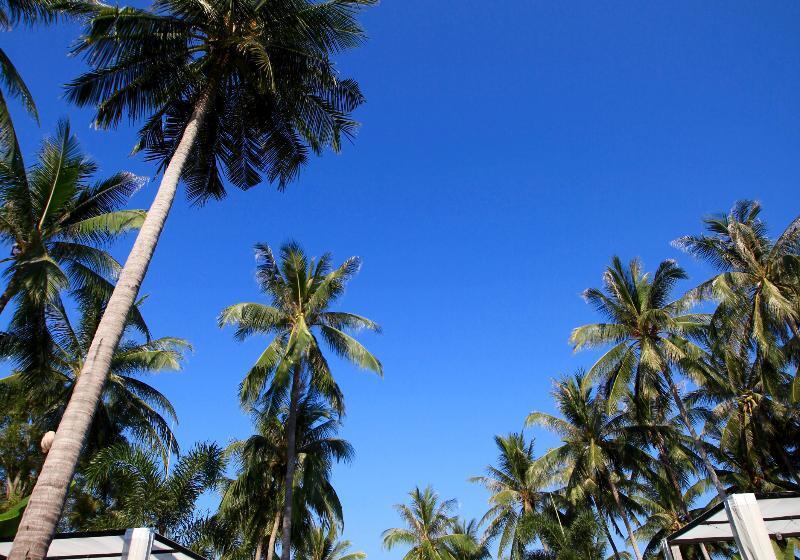 منتجع Kupu Kupu Phangan Beach Villas & Spa