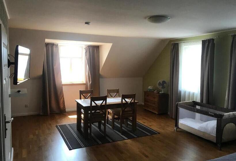 הוסטל Pensjonat Krainka