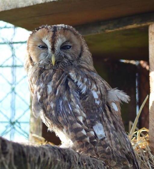 住宿加早餐  Agroturystyka Klekusiowo