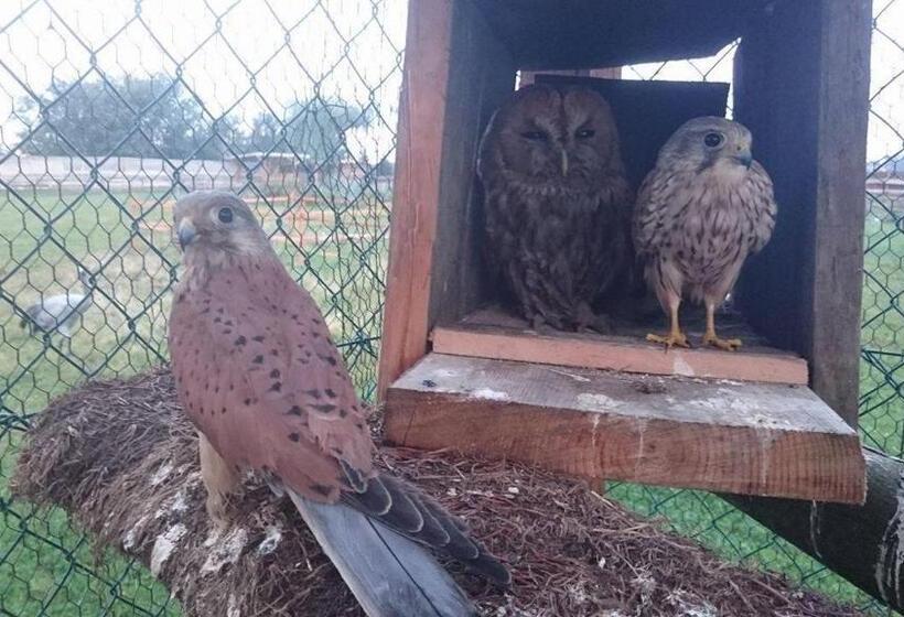 住宿加早餐  Agroturystyka Klekusiowo