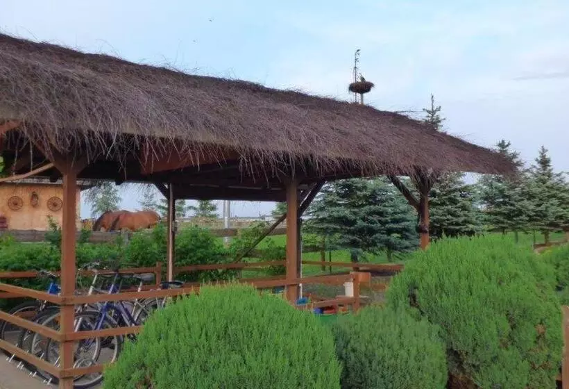 ベッドアンドブレックファースト Agroturystyka Klekusiowo
