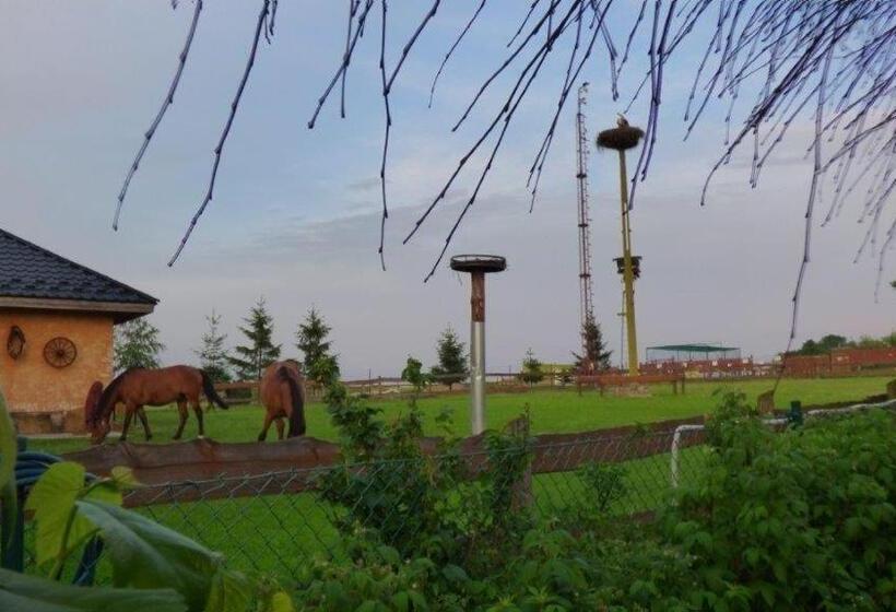 住宿加早餐  Agroturystyka Klekusiowo