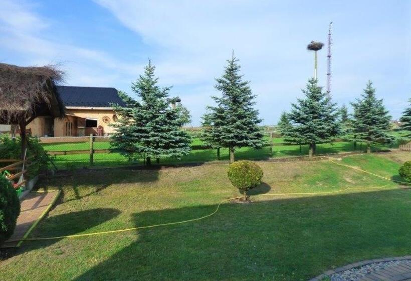 住宿加早餐  Agroturystyka Klekusiowo