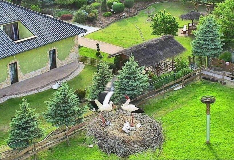 住宿加早餐  Agroturystyka Klekusiowo