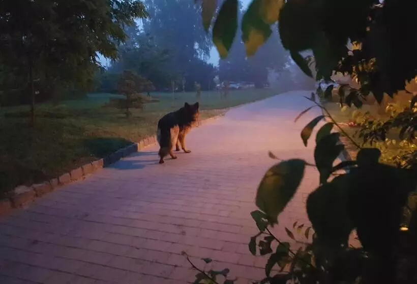 Aamiaismajoitus (B&B) Dwór Na Wichrowym Wzgórzu