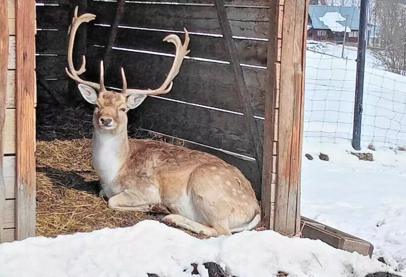Aamiaismajoitus (B&B) Ośrodek Wypoczynkowy U Bartka