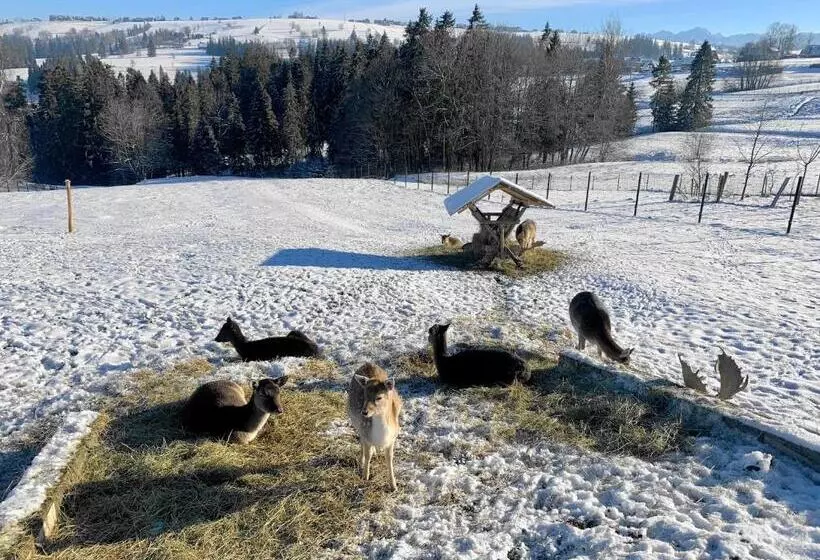 Aamiaismajoitus (B&B) Ośrodek Wypoczynkowy U Bartka