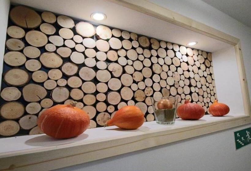 Bed and Breakfast Willa Lichajówka