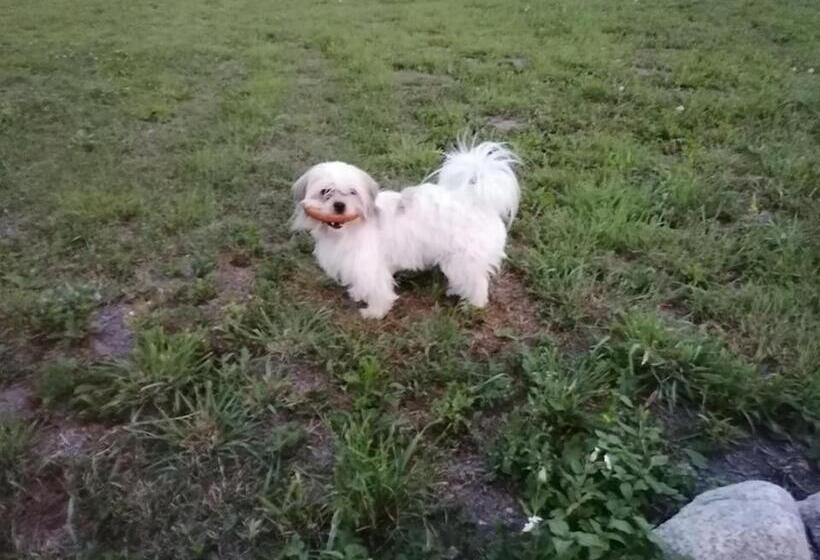 Bed and Breakfast Zakątek Warmiński