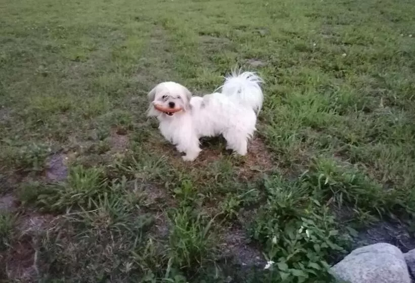 Aamiaismajoitus (B&B) Zakątek Warmiński