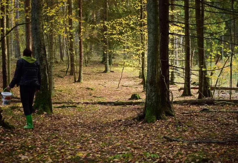 Aamiaismajoitus (B&B) Zakątek Warmiński
