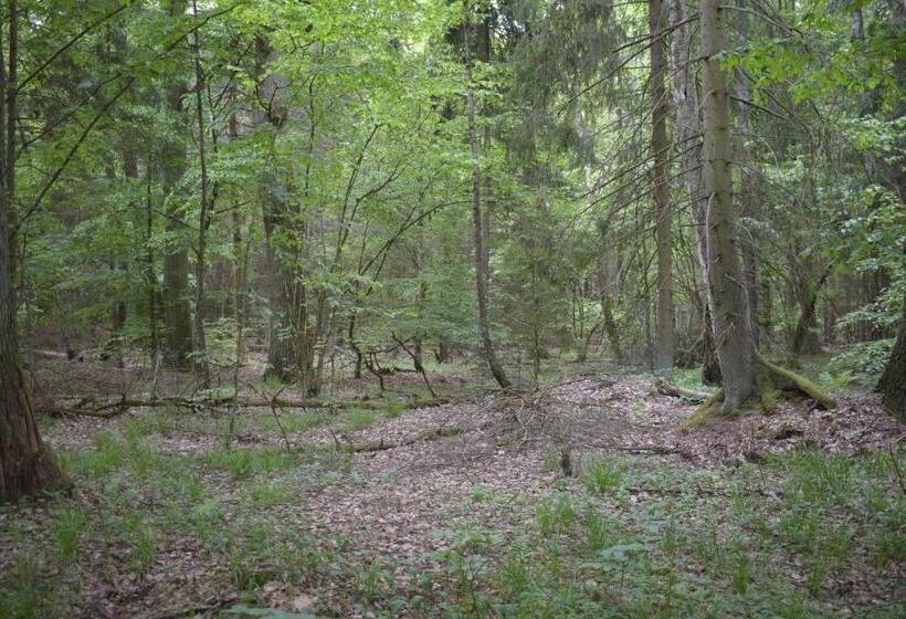 Bed and Breakfast Zakątek Warmiński