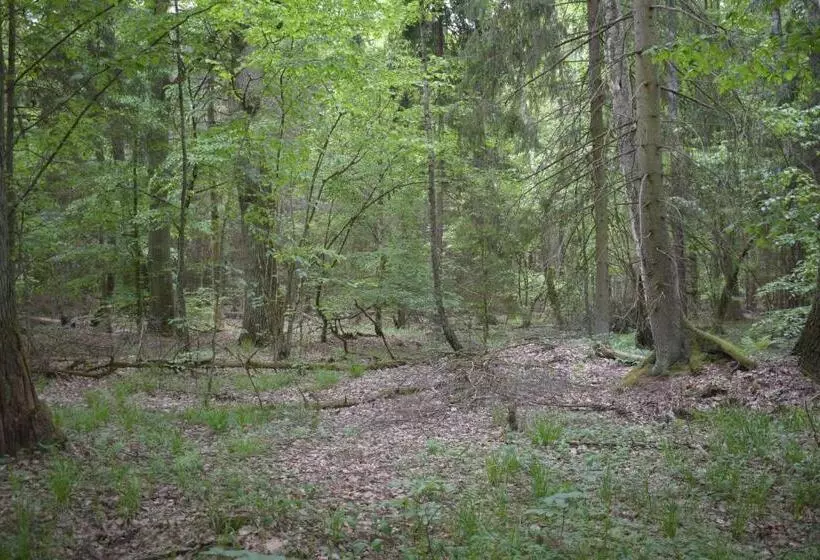 Aamiaismajoitus (B&B) Zakątek Warmiński