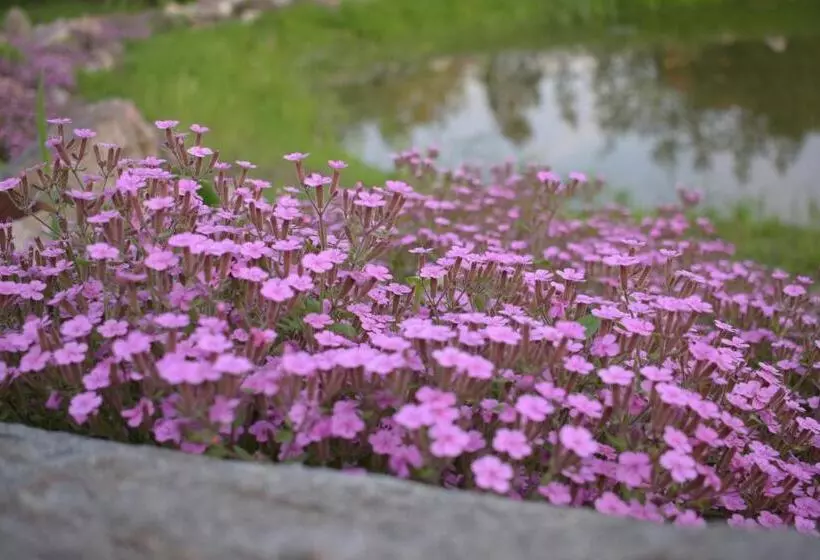 Aamiaismajoitus (B&B) Zakątek Warmiński